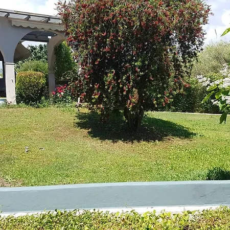 House With Garden *