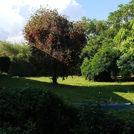 House With Garden Apartment