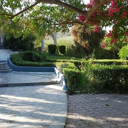 Apartment House With Garden